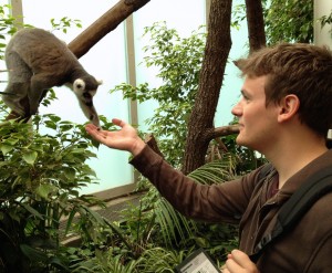 Feeding lemurs